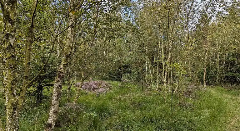 Holiday home in Branderup J