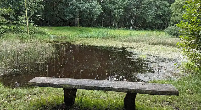 Sommerhus i Branderup J