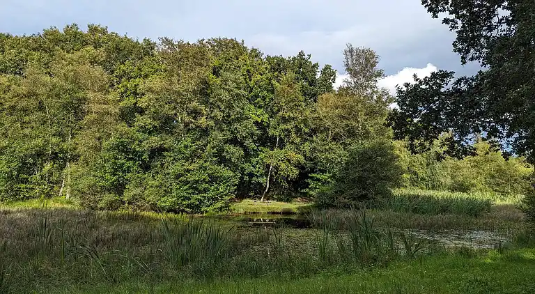 Holiday home in Branderup J