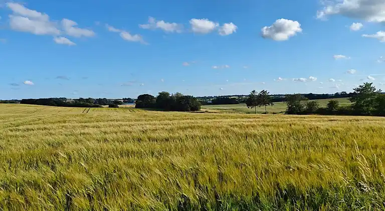 Holiday home in Hejlsminde Strand