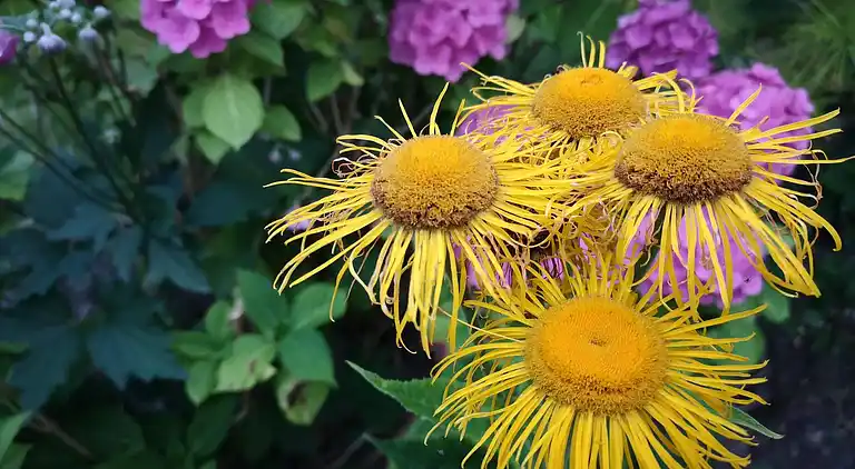 Holiday home in Hejlsminde Strand