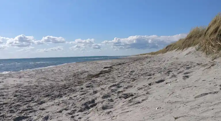 Sommerhus på Læsø