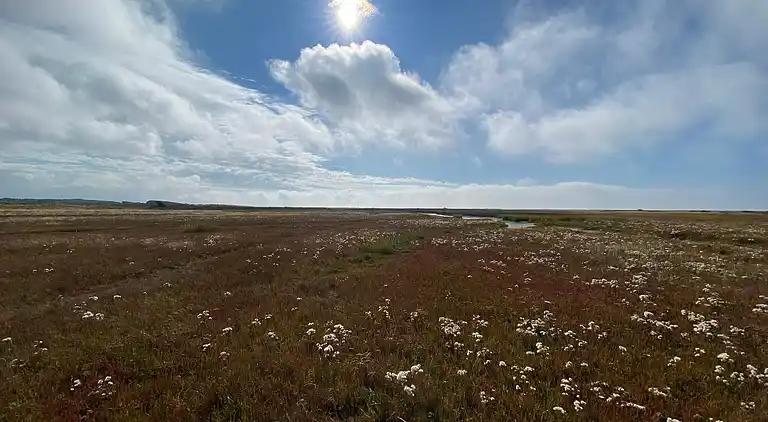 Sommerhus på Læsø