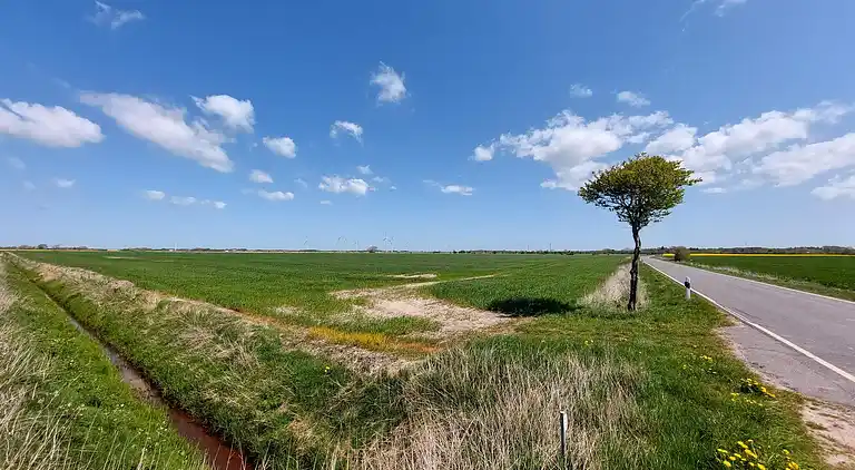 Semesterbostad i Højer