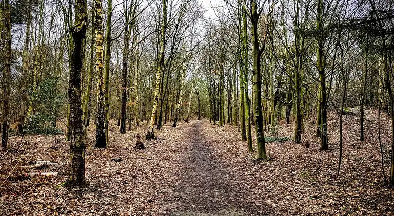 Holiday home in Esbjerg V