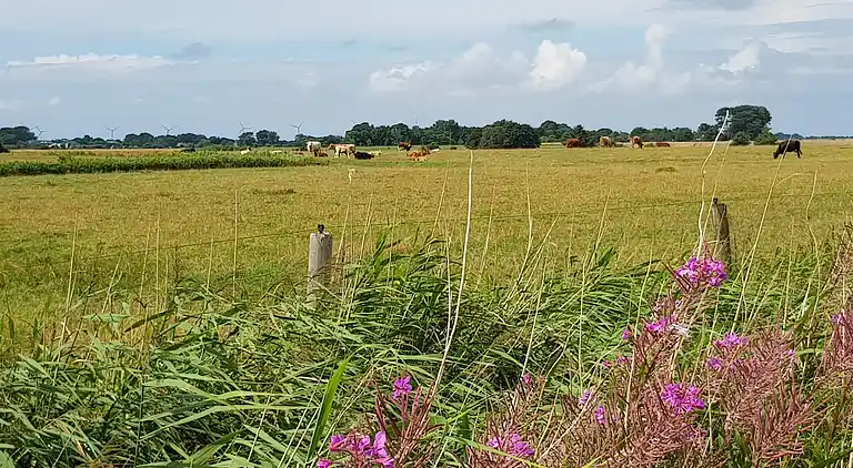 Semesterbostad i Højer