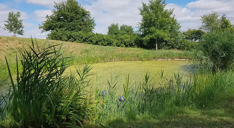 Semesterbostad i Højer