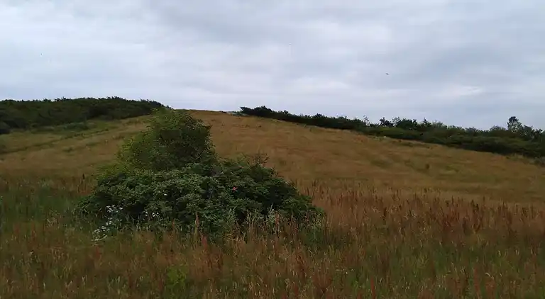 Holiday home in Esbjerg V