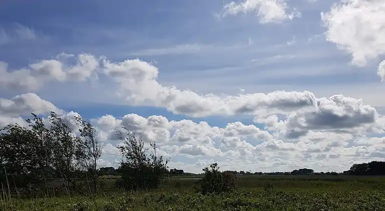 Semesterbostad i Højer