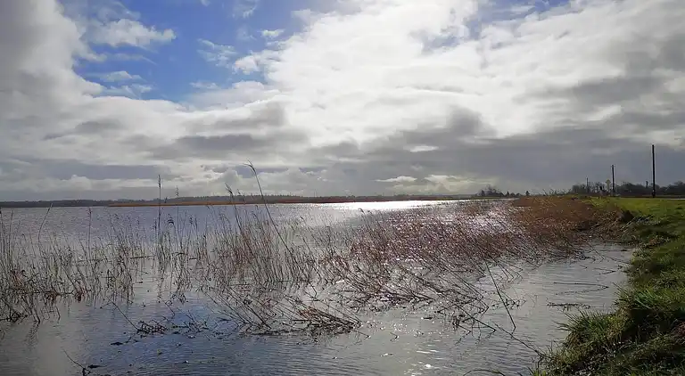Semesterbostad i Højer