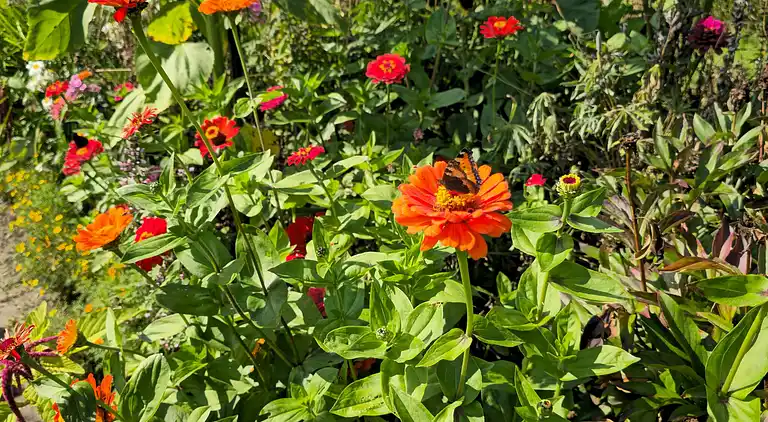 Semesterbostad i Højer