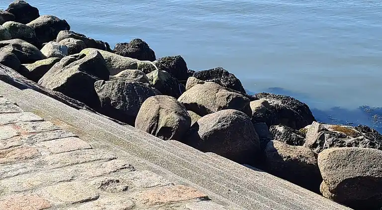 Holiday home in Esbjerg V