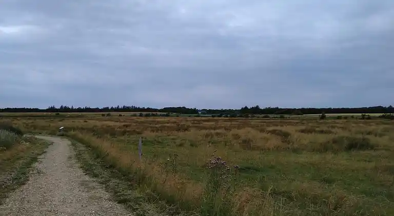 Holiday home in Esbjerg V