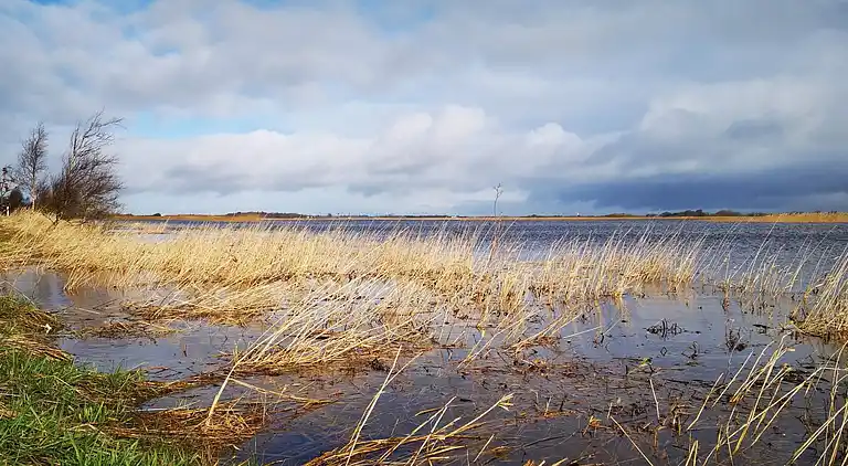 Semesterbostad i Højer
