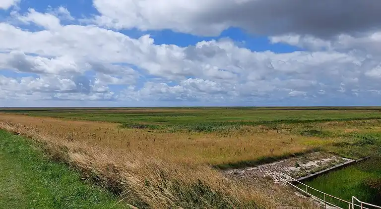 Semesterbostad i Højer