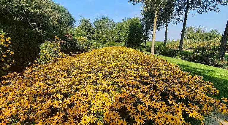 Semesterbostad i Højer