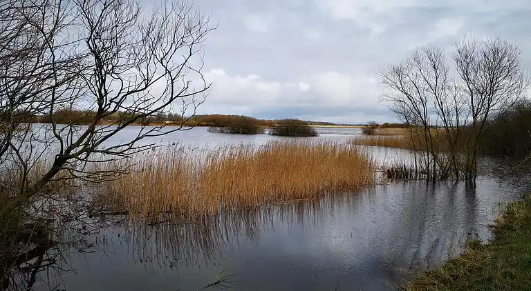 Semesterbostad i Højer