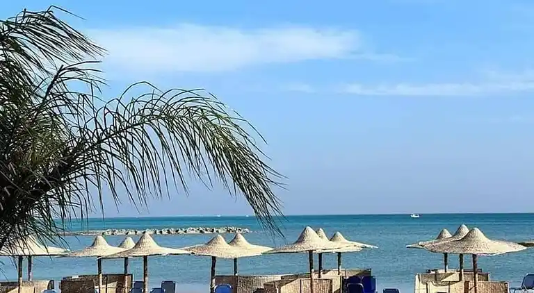 2BR Apartment •Side Sea View • Pool •Turtles Beach