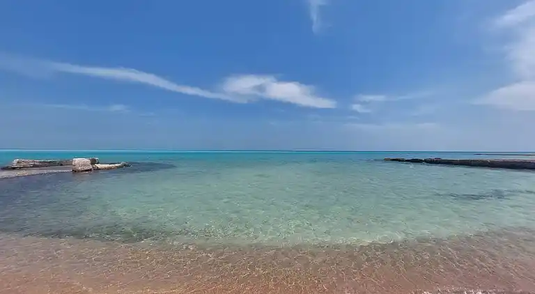 2BR Apartment •Side Sea View • Pool •Turtles Beach