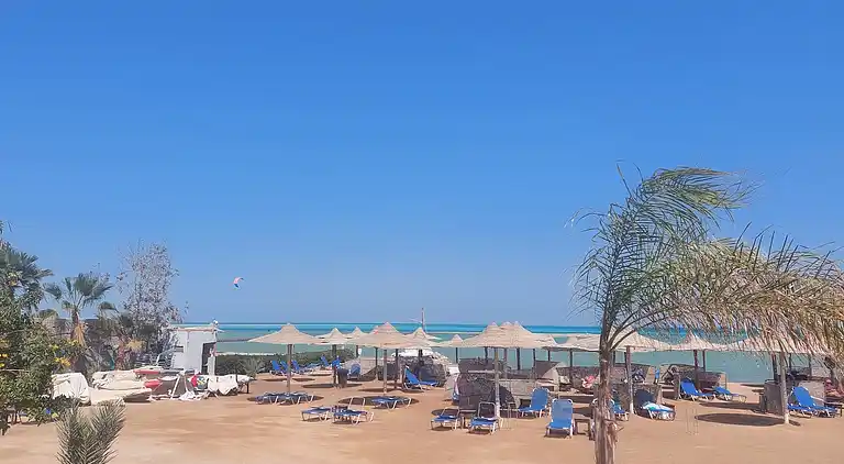 2BR Apartment •Side Sea View • Pool •Turtles Beach