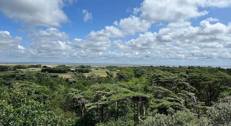 Holiday home in Bolilmark