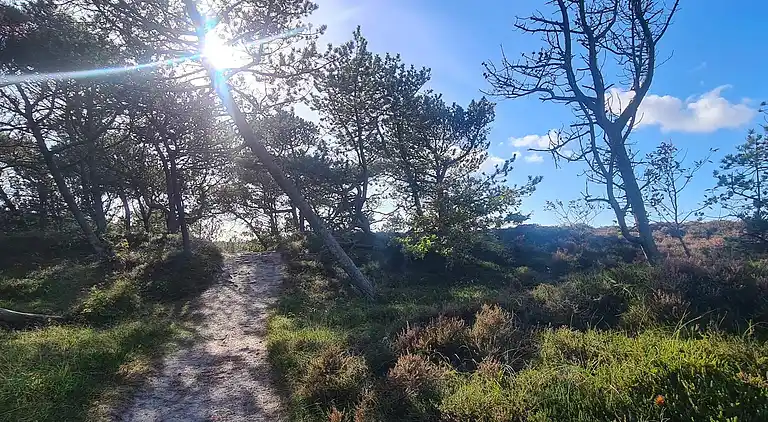 Holiday home in Bolilmark