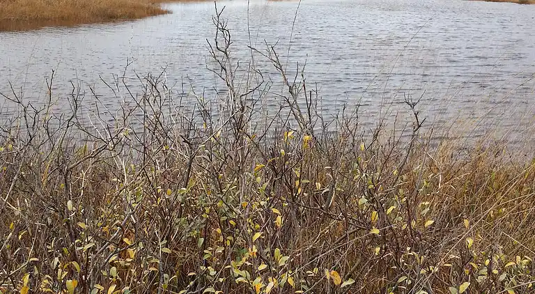 Holiday home in Bolilmark