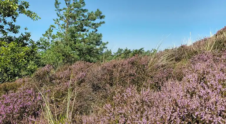 Holiday home in Bolilmark