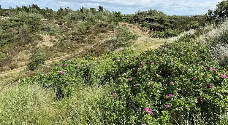 Holiday home in Bolilmark