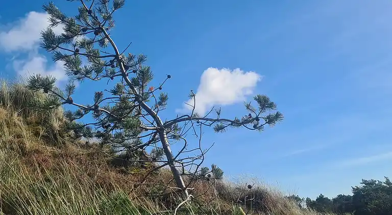 Holiday home in Bolilmark