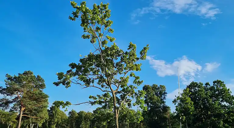 Casa vacanze in Øster Hurup