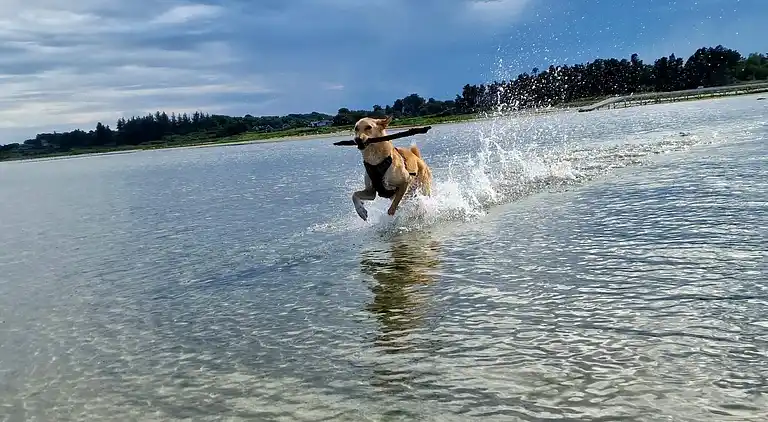 Casa vacanze in Øster Hurup