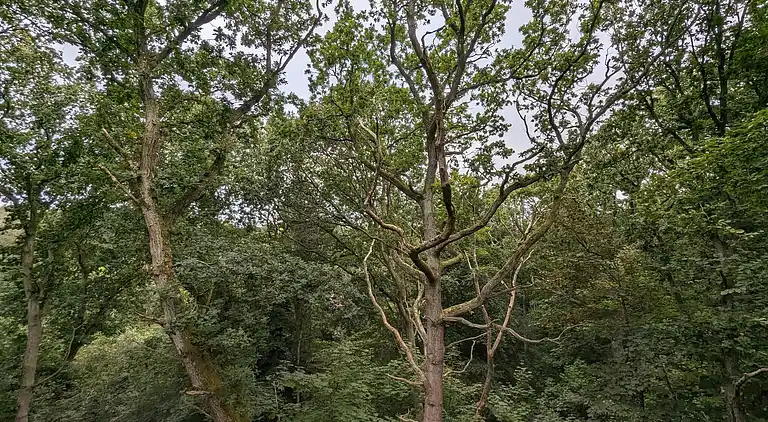 Casa vacanze in Øster Hurup