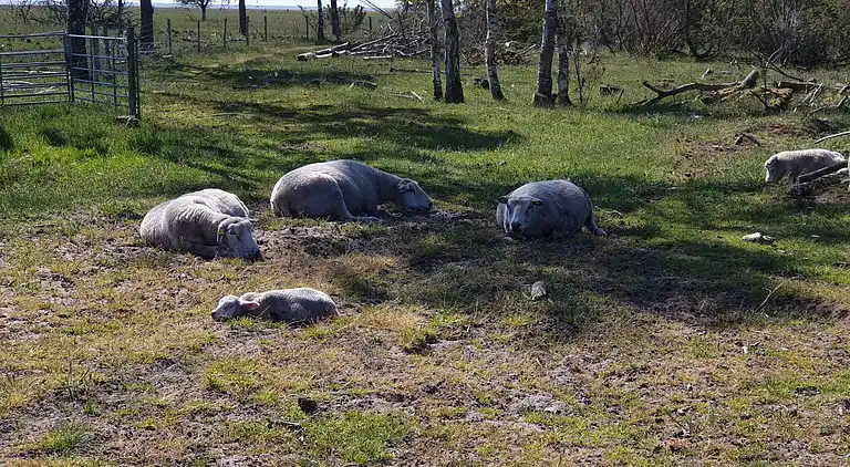 Casa vacanze in Øster Hurup