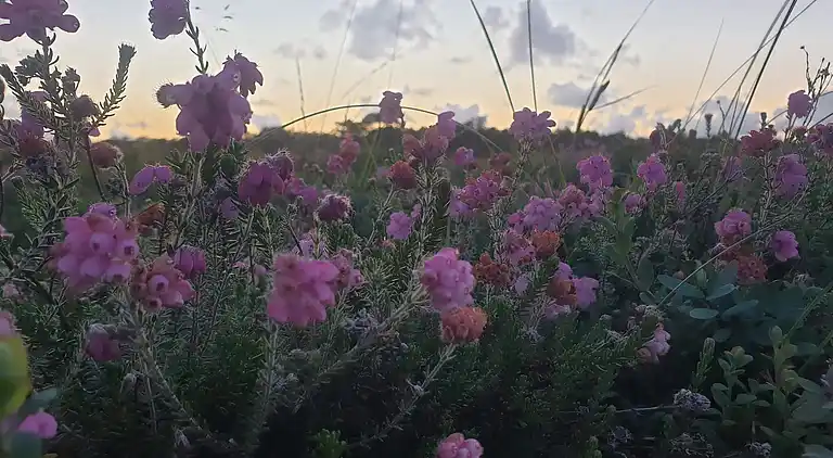 Holiday home in Havneby