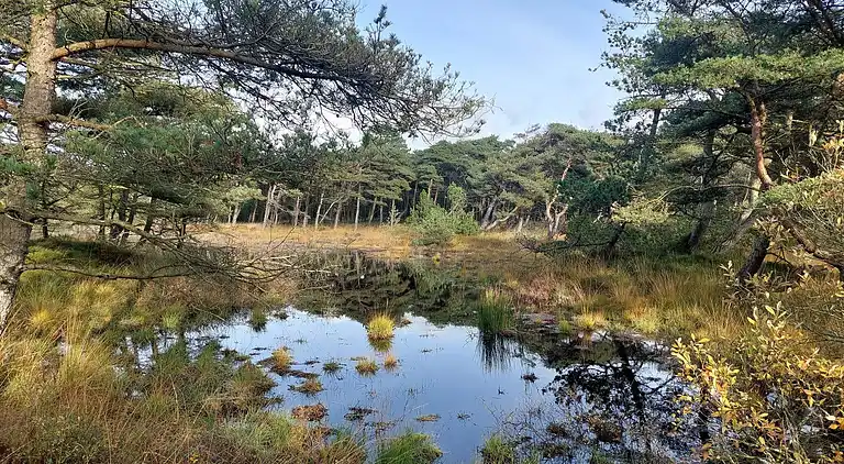 Holiday home in Havneby