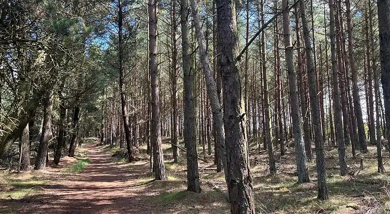 Holiday home in Havneby