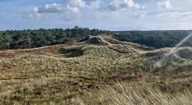 Holiday home in Havneby