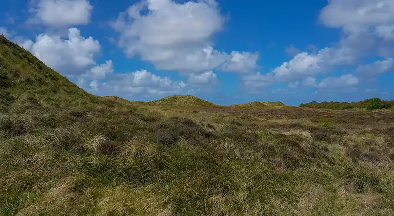 Holiday home in Havneby