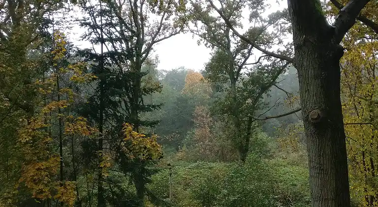 Holiday home in Øster Hurup