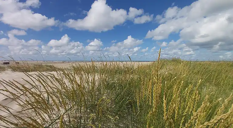 Holiday home in Lakolk