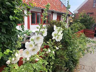 Gaden 5