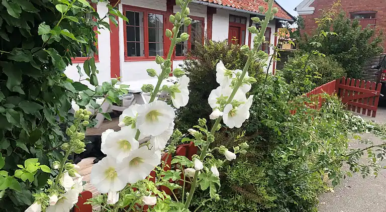 Ferienhaus mit Meerblick im gemütlichen Årsdale