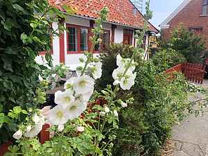 Sommerhus med havudsigt i hyggelige Årsdale