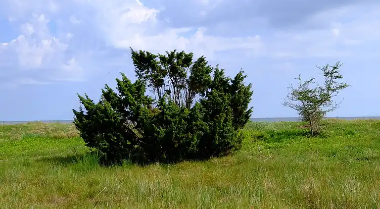 Holiday home in Gedesby