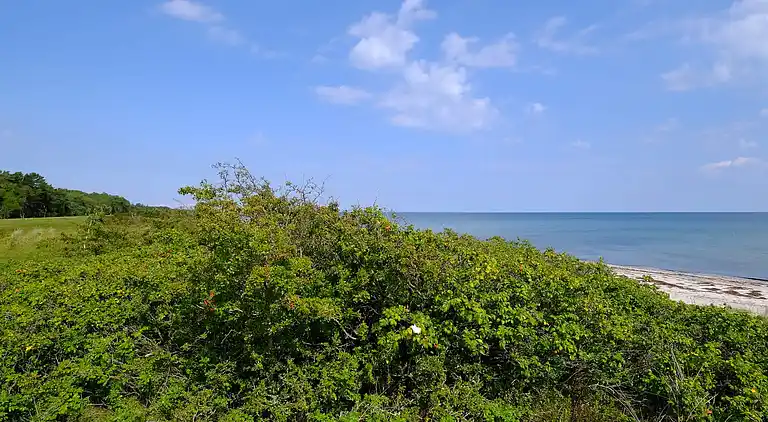 Holiday home in Gedesby