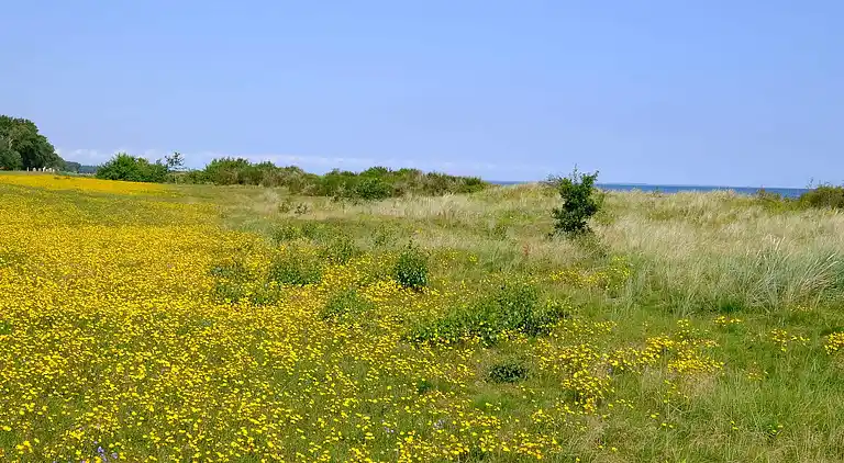 Holiday home in Gedesby