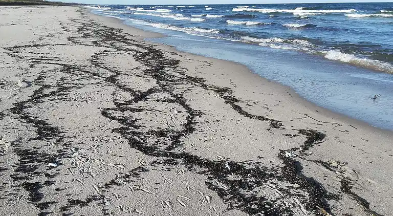 Holiday home in Gedesby