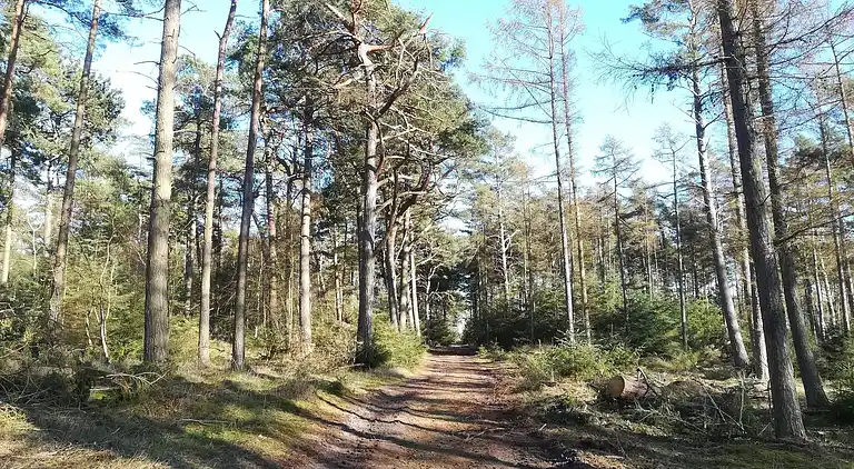 Holiday home in Gedesby