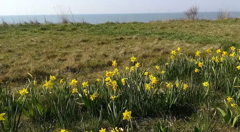 Holiday home in Gedesby